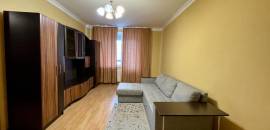 однокомнатная квартира в Ленинградской области по адресу: Европейский проспект, 13, к 6