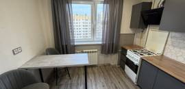 однокомнатная квартира в Санкт-Петербурге по адресу: Светлановский проспект, 107