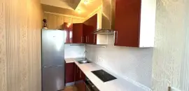 однокомнатная квартира в Санкт-Петербурге по адресу: Ушинского ул., 33, к 3