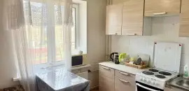 однокомнатная квартира в Санкт-Петербурге по адресу: Фёдора Абрамова ул., 18, к 1