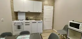 однокомнатная квартира в Санкт-Петербурге по адресу: Планерная ул., 87